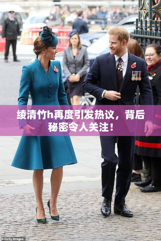绫清竹h再度引发热议，背后秘密令人关注！