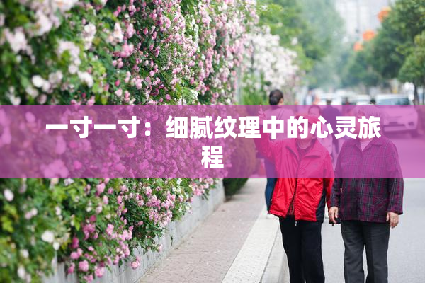 一寸一寸：细腻纹理中的心灵旅程