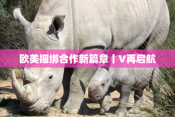 欧美捆绑合作新篇章丨V再启航