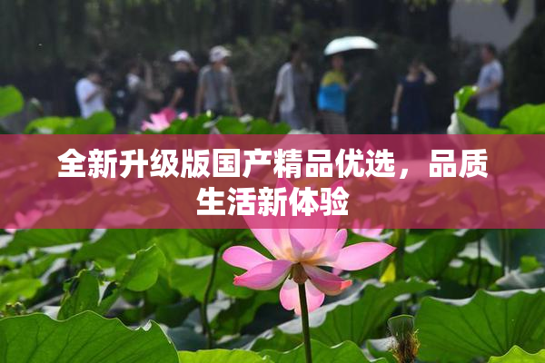 全新升级版国产精品优选，品质生活新体验