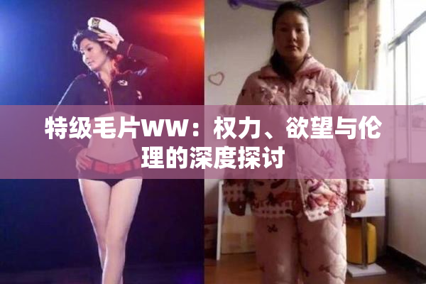 特级毛片WW：权力、欲望与伦理的深度探讨