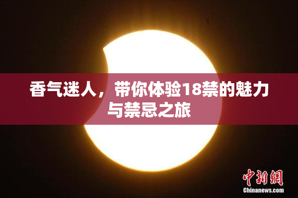 香气迷人，带你体验18禁的魅力与禁忌之旅