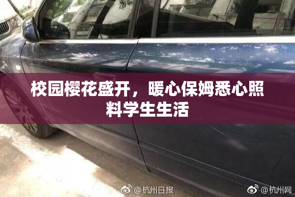 校园樱花盛开，暖心保姆悉心照料学生生活