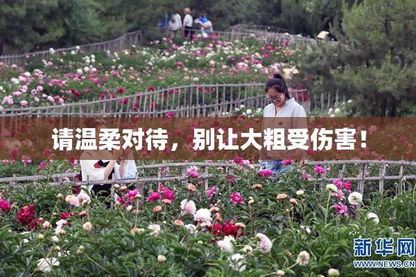 请温柔对待，别让大粗受伤害！