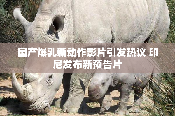 国产爆乳新动作影片引发热议 印尼发布新预告片