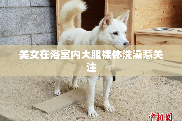 美女在浴室内大胆裸体洗澡惹关注