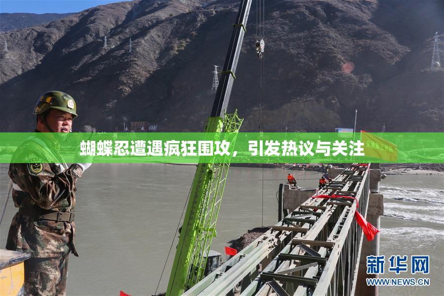 蝴蝶忍遭遇疯狂围攻，引发热议与关注