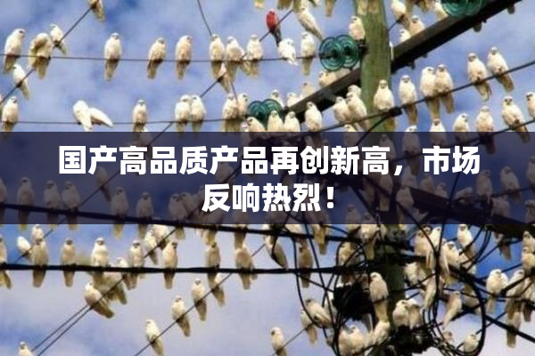 国产高品质产品再创新高，市场反响热烈！