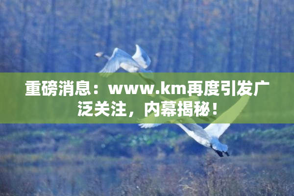 重磅消息：www.km再度引发广泛关注，内幕揭秘！