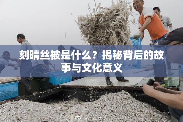 刻晴丝被是什么？揭秘背后的故事与文化意义
