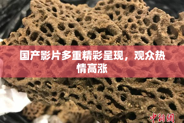 国产影片多重精彩呈现，观众热情高涨