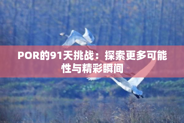 POR的91天挑战：探索更多可能性与精彩瞬间