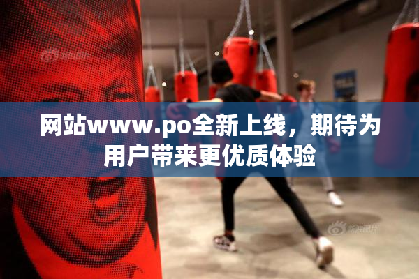 网站www.ро全新上线，期待为用户带来更优质体验