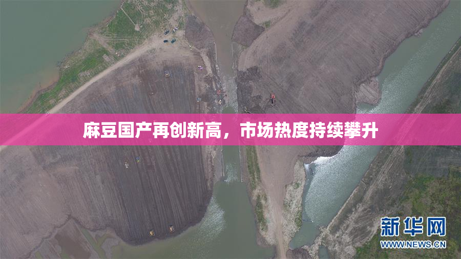 麻豆国产再创新高，市场热度持续攀升