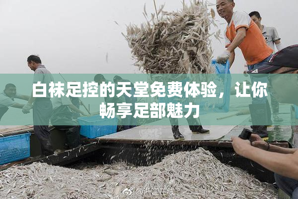 白袜足控的天堂免费体验，让你畅享足部魅力