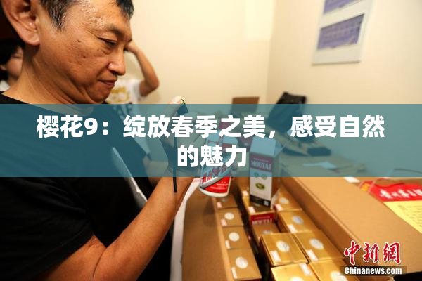 樱花9：绽放春季之美，感受自然的魅力