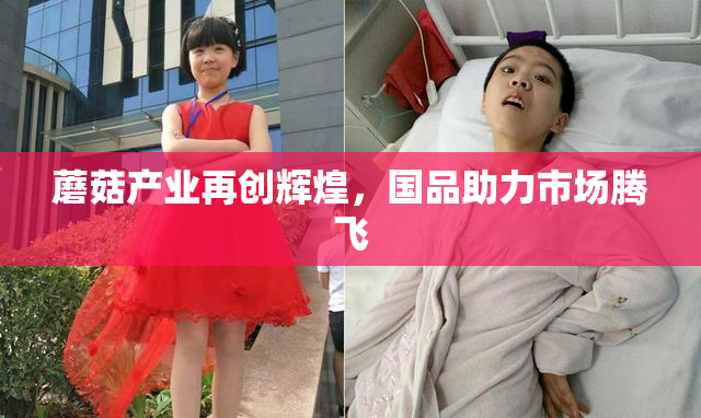 蘑菇产业再创辉煌，国品助力市场腾飞