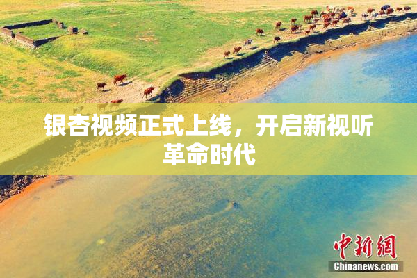 银杏视频正式上线，开启新视听革命时代