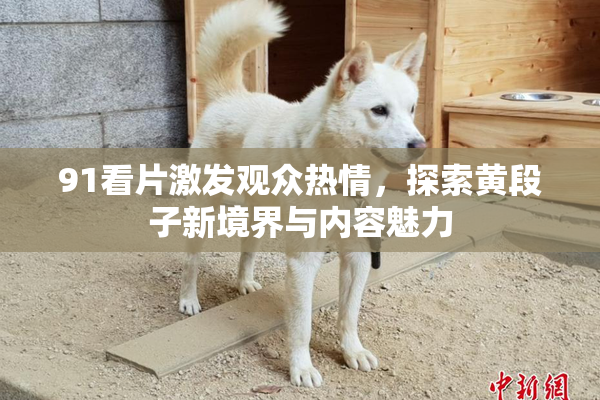 91看片激发观众热情，探索黄段子新境界与内容魅力