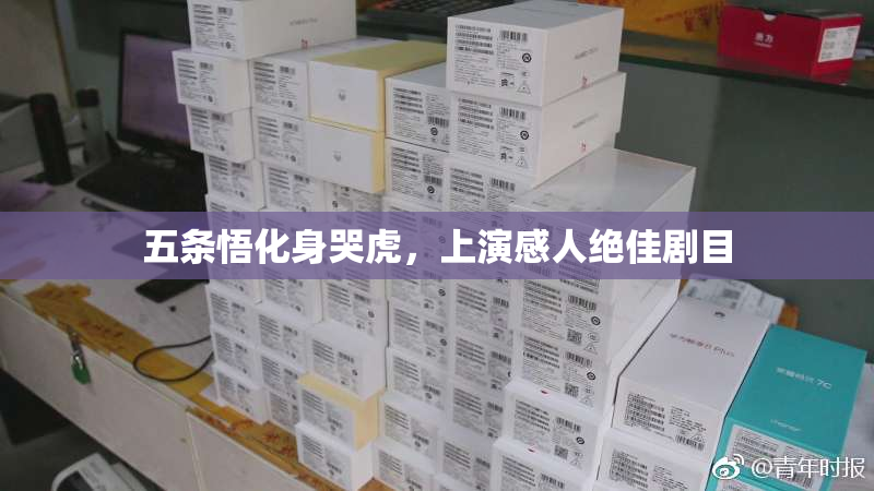 五条悟化身哭虎，上演感人绝佳剧目