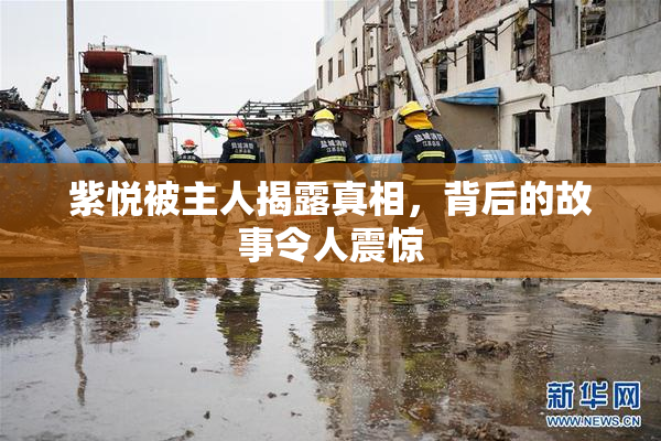 紫悦被主人揭露真相，背后的故事令人震惊