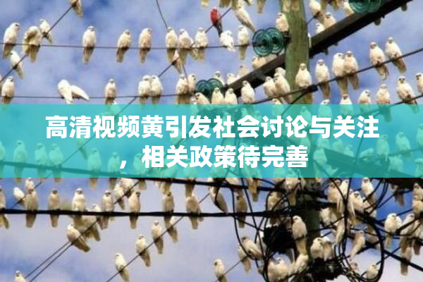高清视频黄引发社会讨论与关注，相关政策待完善