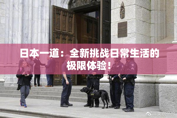日本一道：全新挑战日常生活的极限体验！
