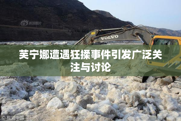 芙宁娜遭遇狂揉事件引发广泛关注与讨论