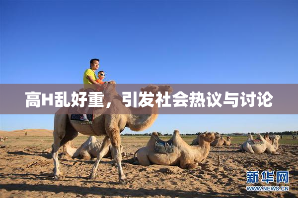 高H乱好重，引发社会热议与讨论