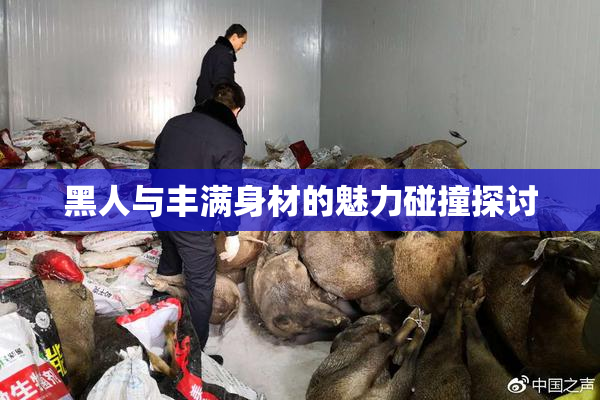 黑人与丰满身材的魅力碰撞探讨