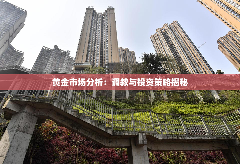 黄金市场分析：调教与投资策略揭秘