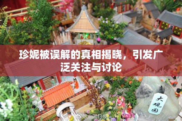 珍妮被误解的真相揭晓，引发广泛关注与讨论