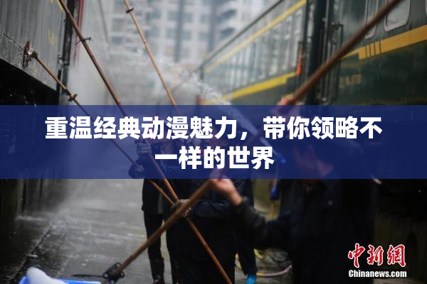 重温经典动漫魅力，带你领略不一样的世界