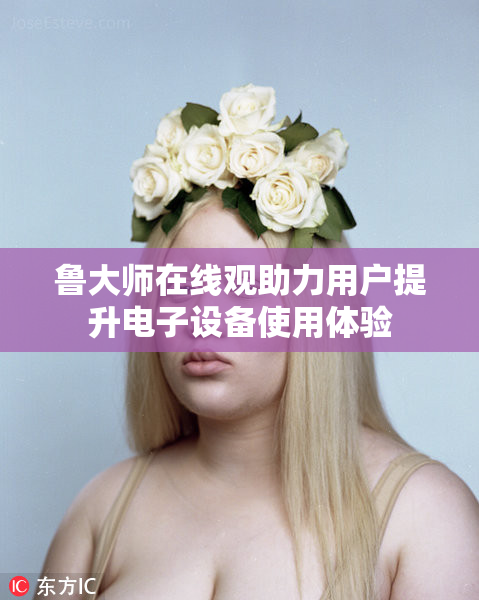 鲁大师在线观助力用户提升电子设备使用体验