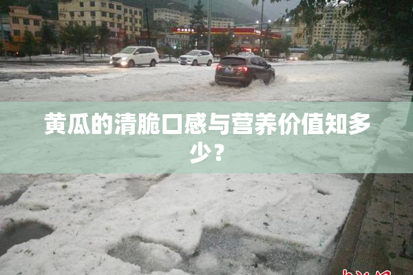 黄瓜的清脆口感与营养价值知多少？