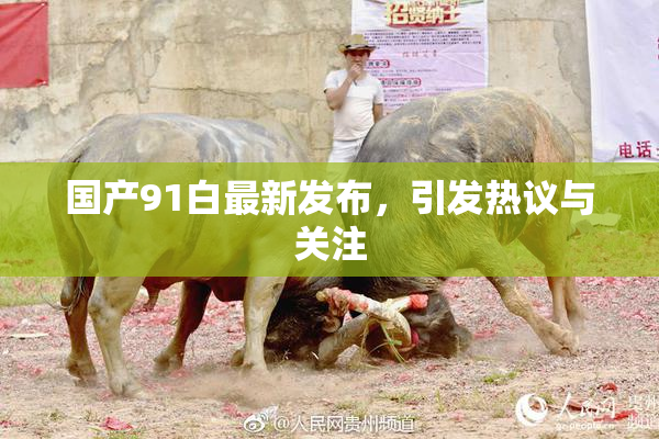 国产91白最新发布，引发热议与关注