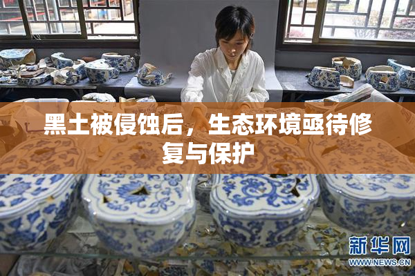 黑土被侵蚀后，生态环境亟待修复与保护