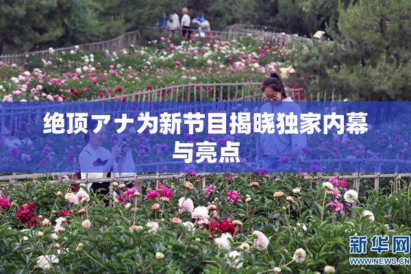 绝顶アナ为新节目揭晓独家内幕与亮点