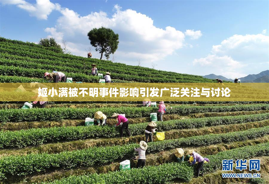 姬小满被不明事件影响引发广泛关注与讨论
