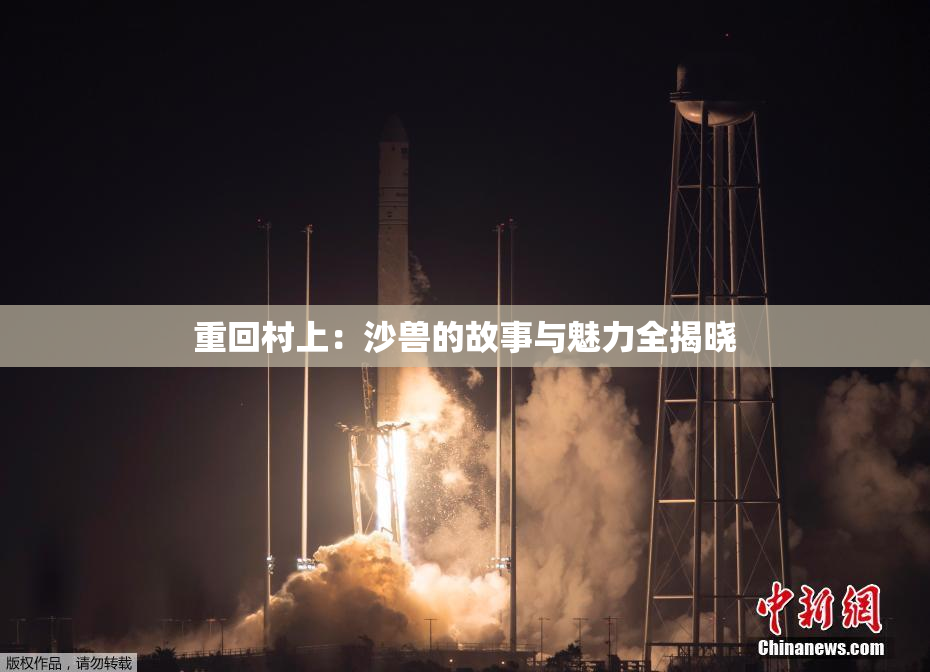 重回村上：沙兽的故事与魅力全揭晓