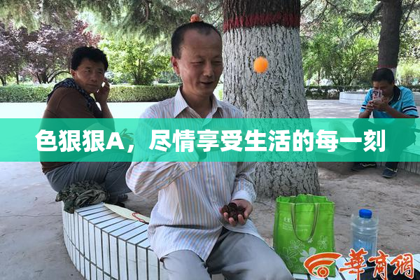 色狠狠A，尽情享受生活的每一刻