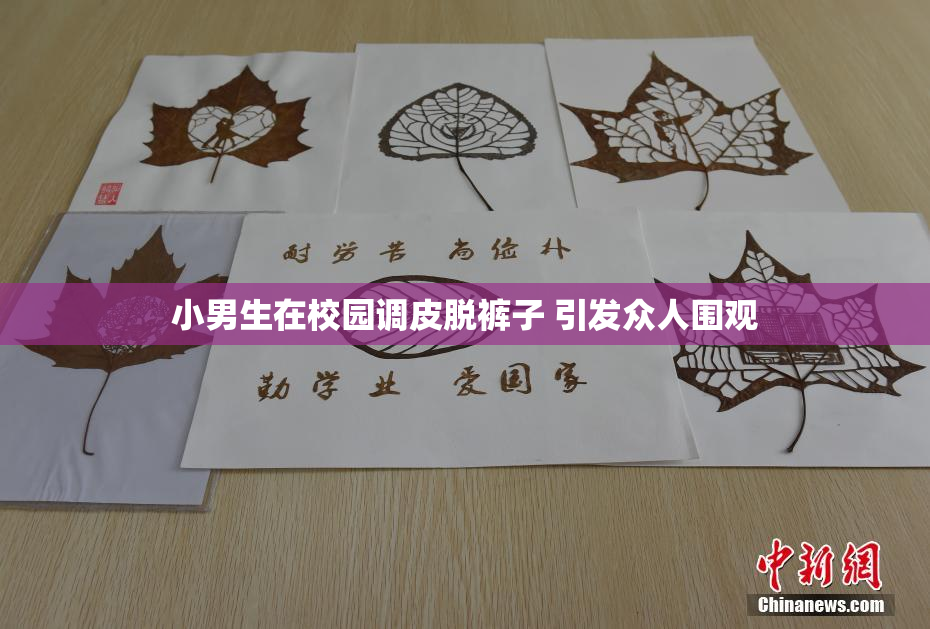 小男生在校园调皮脱裤子 引发众人围观
