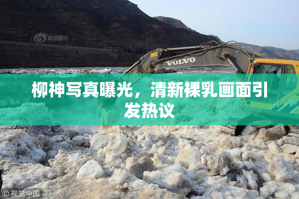 柳神写真曝光，清新裸乳画面引发热议