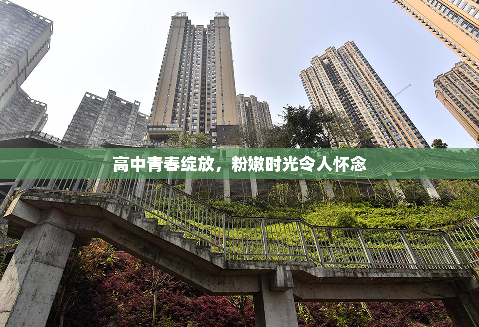 高中青春绽放，粉嫩时光令人怀念