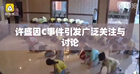 许盛因C事件引发广泛关注与讨论