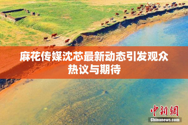 麻花传媒沈芯最新动态引发观众热议与期待