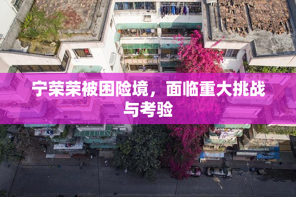 宁荣荣被困险境，面临重大挑战与考验