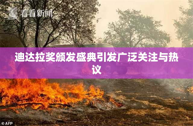 迪达拉奖颁发盛典引发广泛关注与热议
