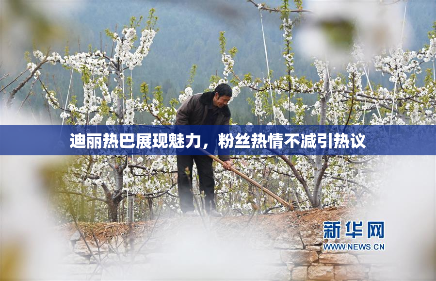 迪丽热巴展现魅力，粉丝热情不减引热议