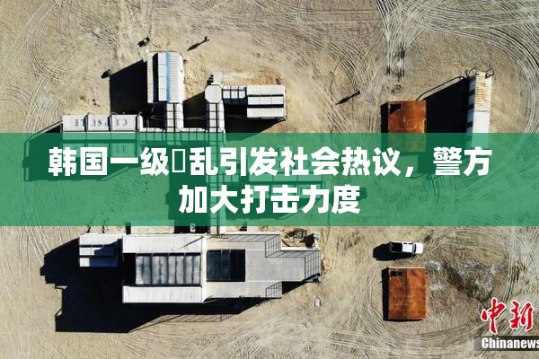 韩国一级婬乱引发社会热议，警方加大打击力度